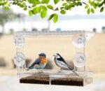 Raamvoederhuisje voor vogels met helder zicht en directe montage op het glas - Afbeelding 2